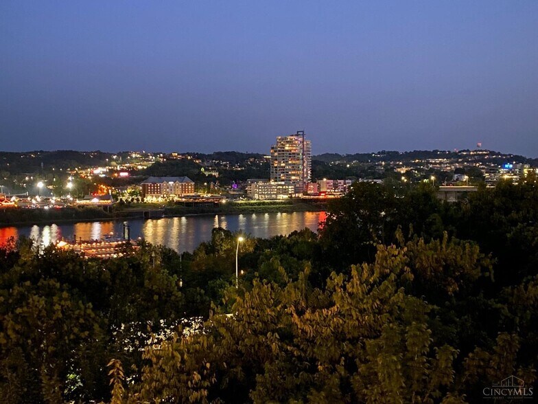 View from Primary Bedroom Balcony - 1005 Hill St
