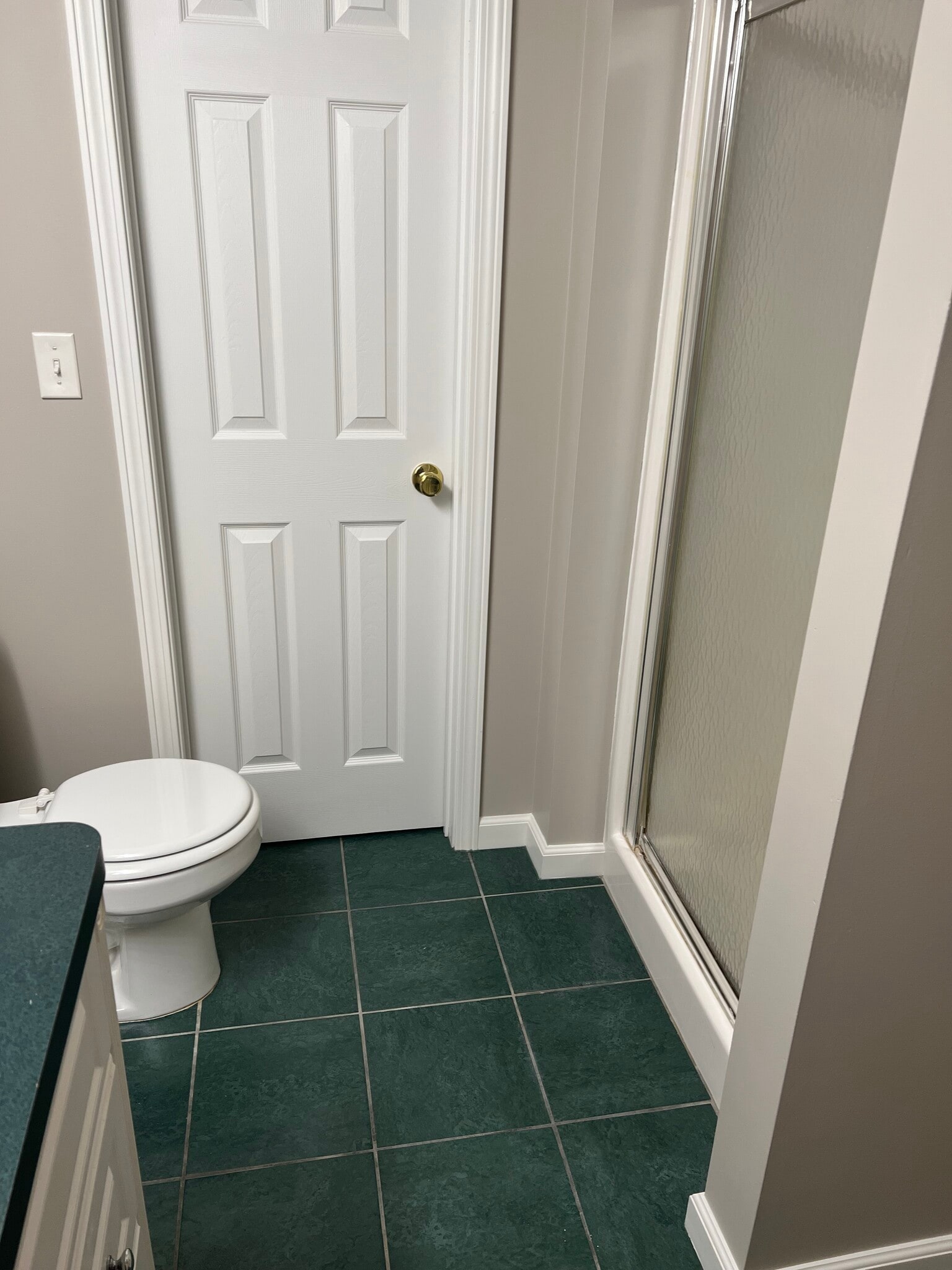 Basement bath - 36447 N Reserve Cir