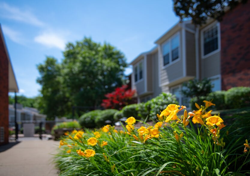 Community - Chestnut Ridge Apartments