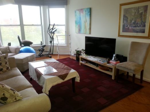 Building Photo - 20 Chestnut St