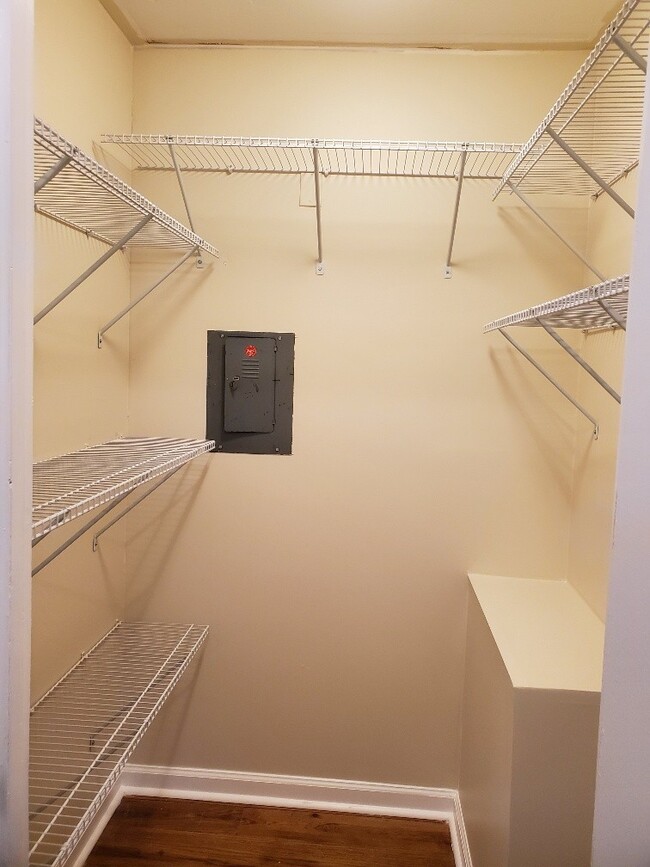 Building Photo - Newly Remodeled Mid Century Style Home!!