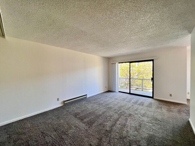 Primary Photo - Large sunny 1 bedroom with lush courtyard ...