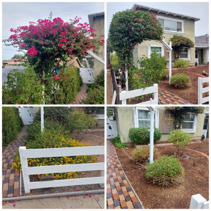 Building Photo - 876 Adele St