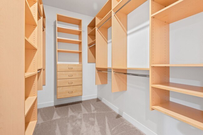 Building Photo - Available early March! Large and Lovely Home in Chapel Hill