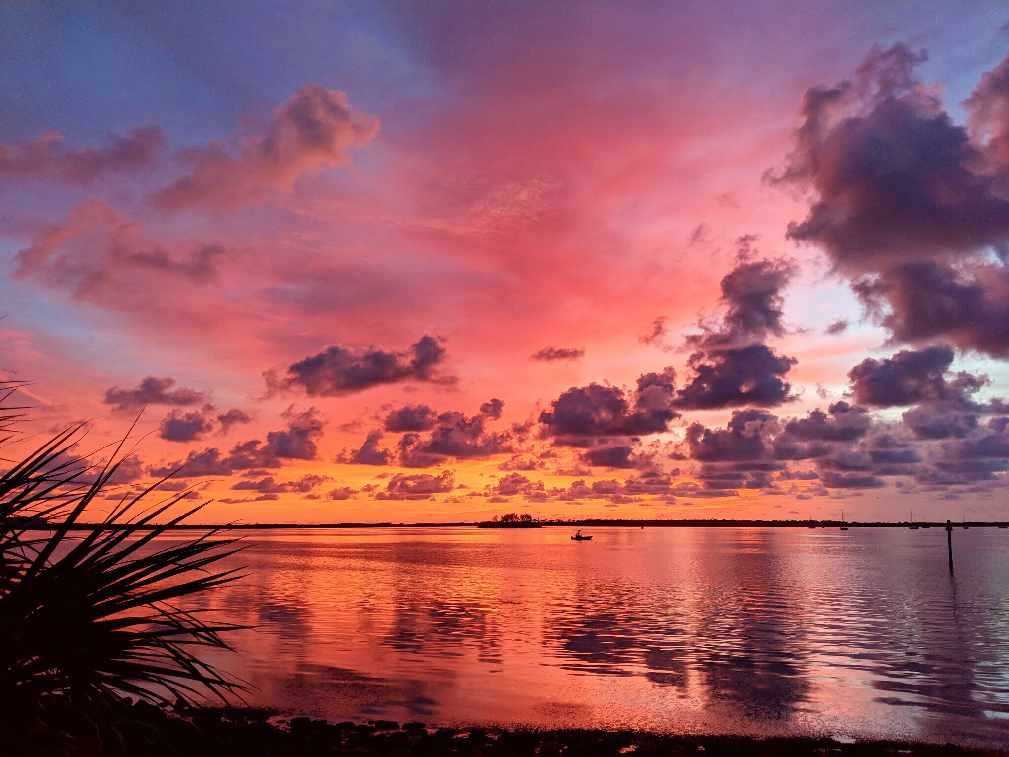 Building Photo - 234 Union St