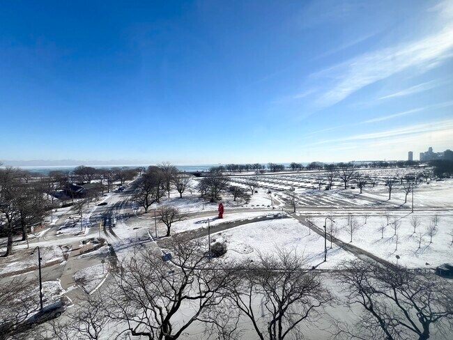 Building Photo - 2800 N Lake Shore Dr