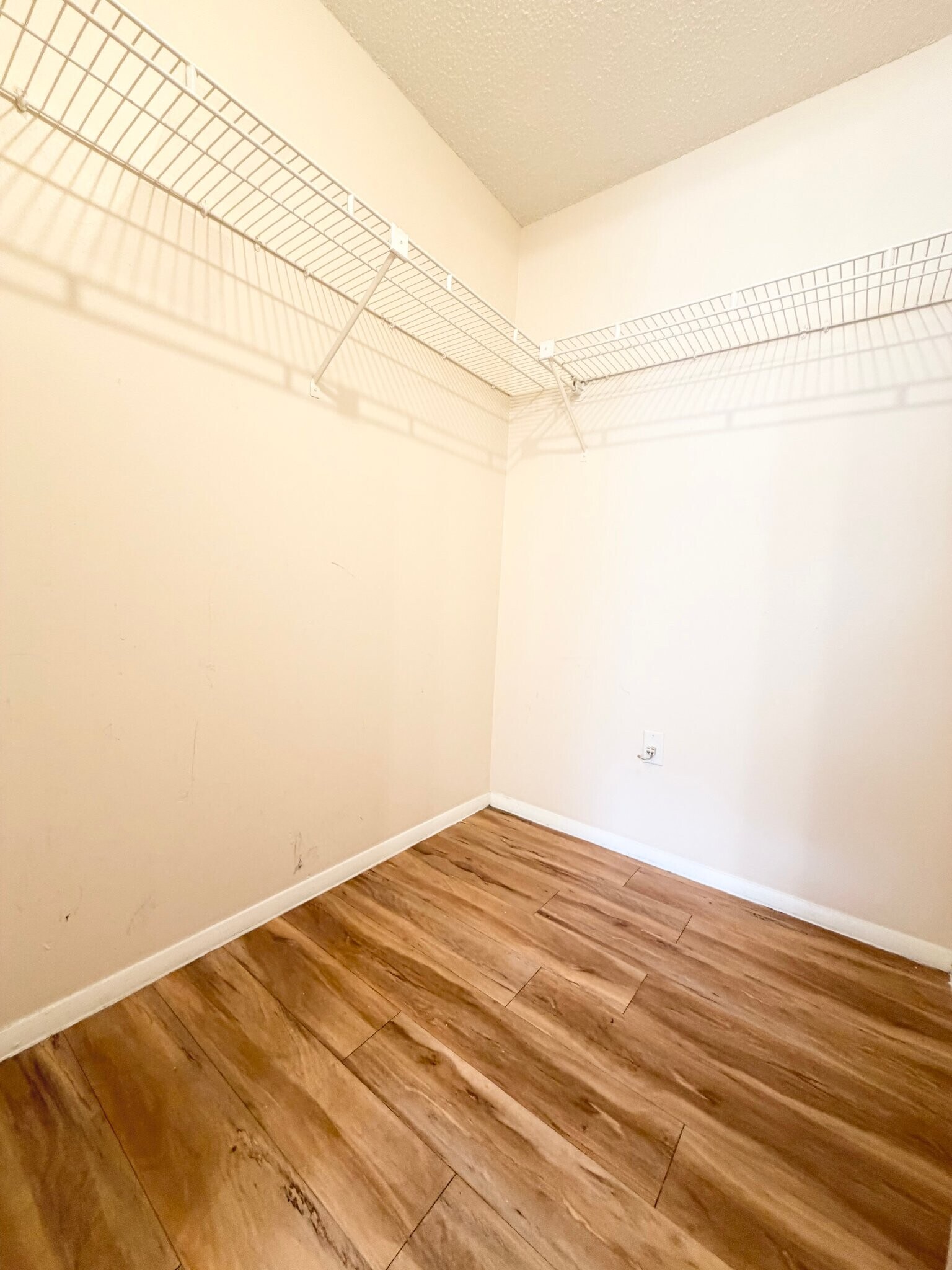 Building Photo - 129 Camphor Cir