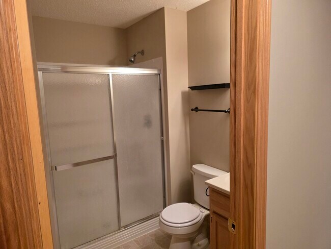 Lower Level bathroom - 804 Ivy Ridge Ln