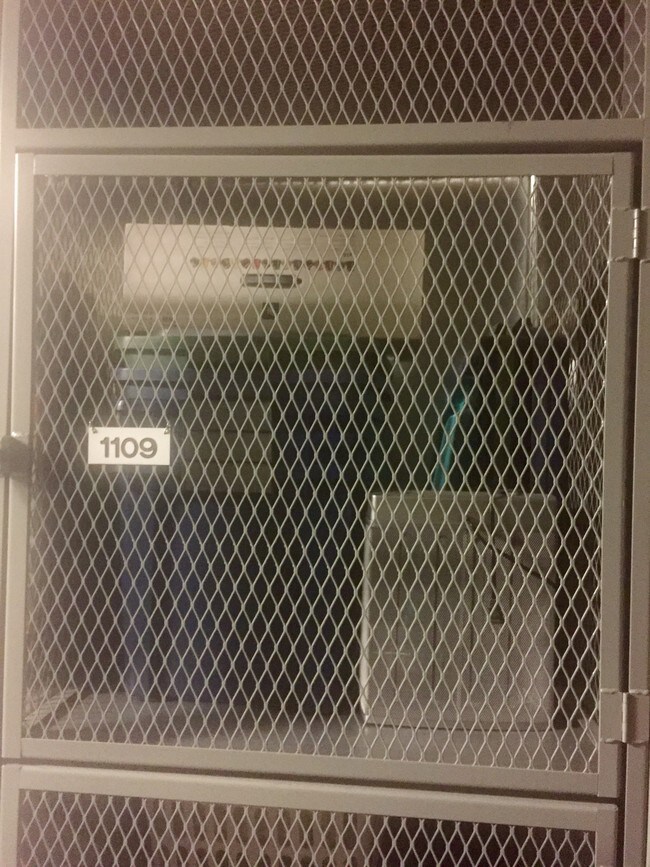 Storage cage - 1600 S Indiana Ave