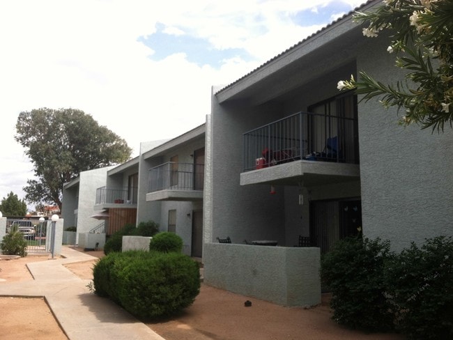 Building Photo - Oasis in Mesa