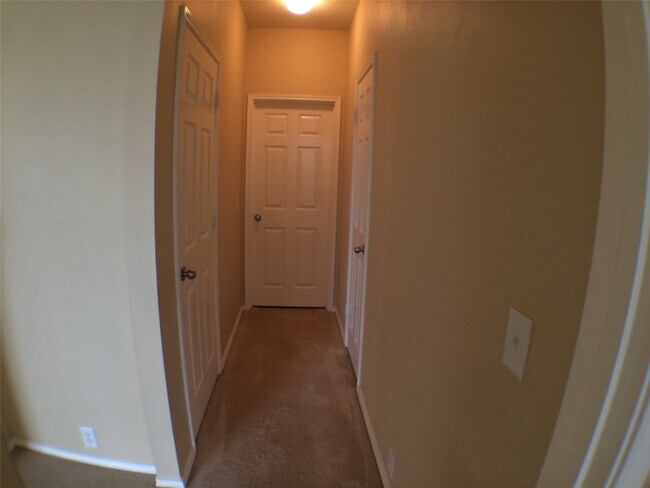 Building Photo - 2509 Nueces Cove