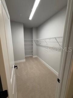 Building Photo - 3137 4th Ter N