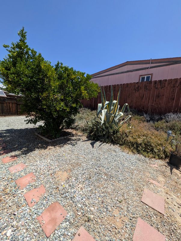 Building Photo - 26108 Fountain Palm Dr