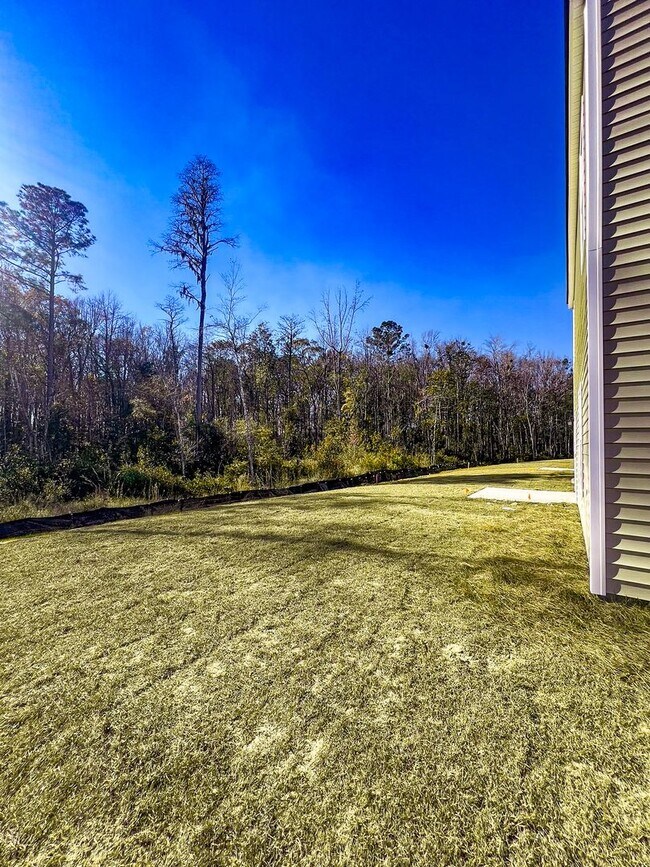 Building Photo - Available Now!