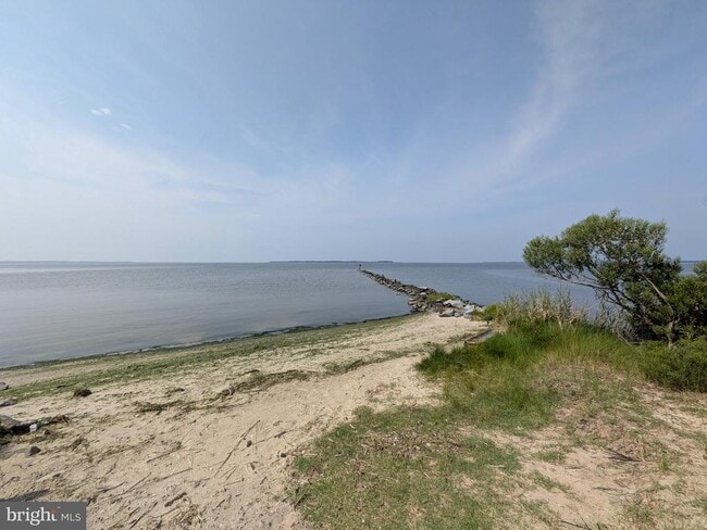 Building Photo - 965 Chester River Dr