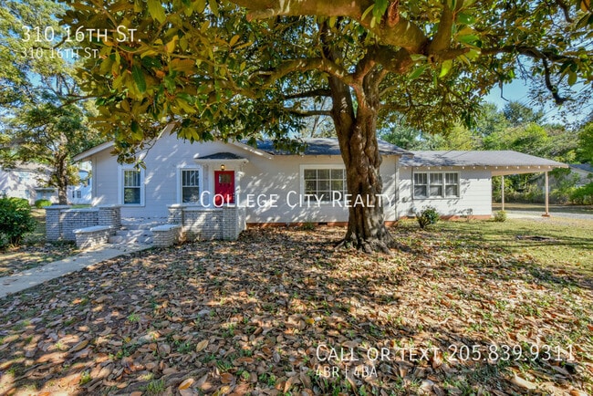 Building Photo - 310 16th St