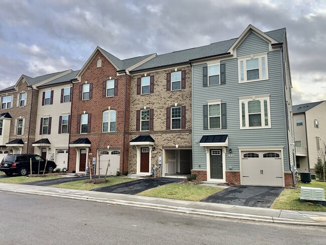 Building Photo - 2917 Stagg Ln