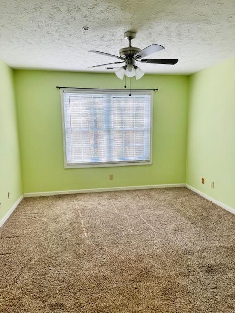 Building Photo - 341 Waterdown Dr