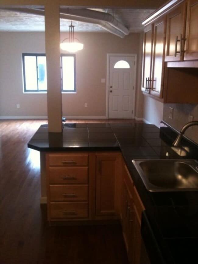 Building Photo - Beautifully Renovated Home in South Side Flats