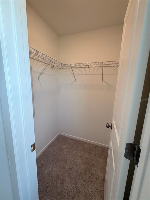 Building Photo - 874 Lynx St