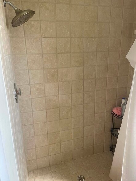 master bath shower - 2616 Woodgate Ln