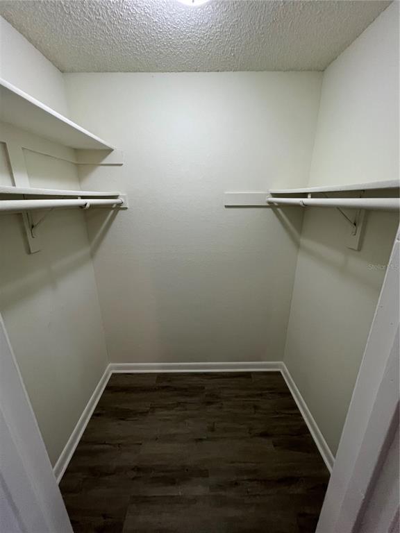 Building Photo - 4200 Thornbriar Ln