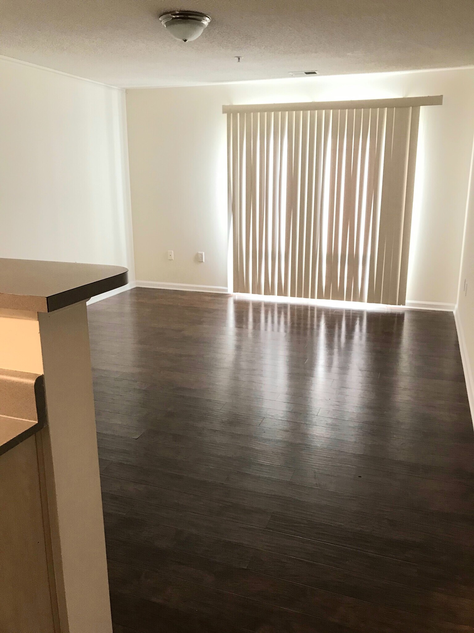 LARGE LIVING ROOM - 1011 Harts Cove Way