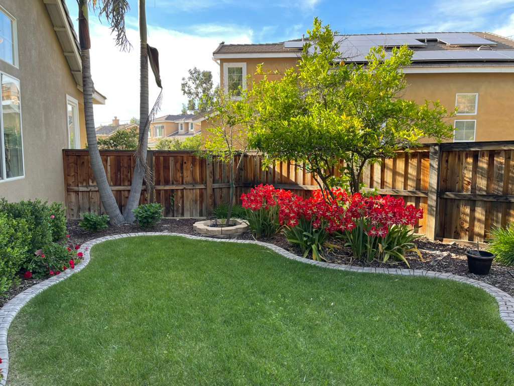 Building Photo - 3273 Ivy Ct