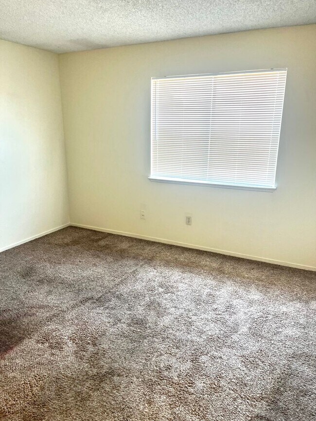 Building Photo - 3708 Scuba Cir