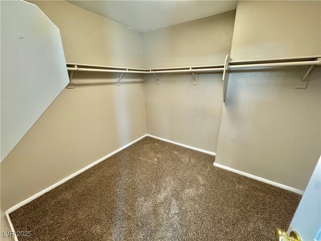 Building Photo - 2809 Cedar Bird Dr