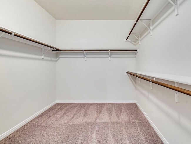 Building Photo - 4113 Birdwatch Loop