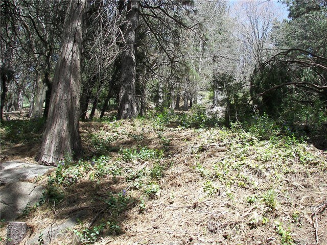 Building Photo - 21636 Sawpit Canyon Rd
