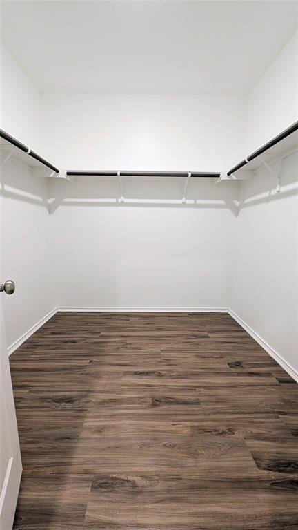 Building Photo - 313 Soapstone Pass