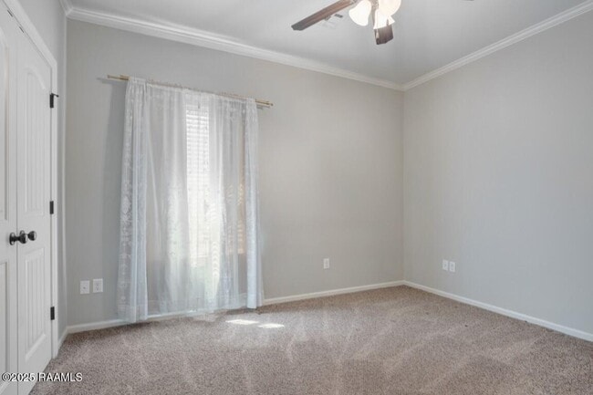 Building Photo - 117 Ella St