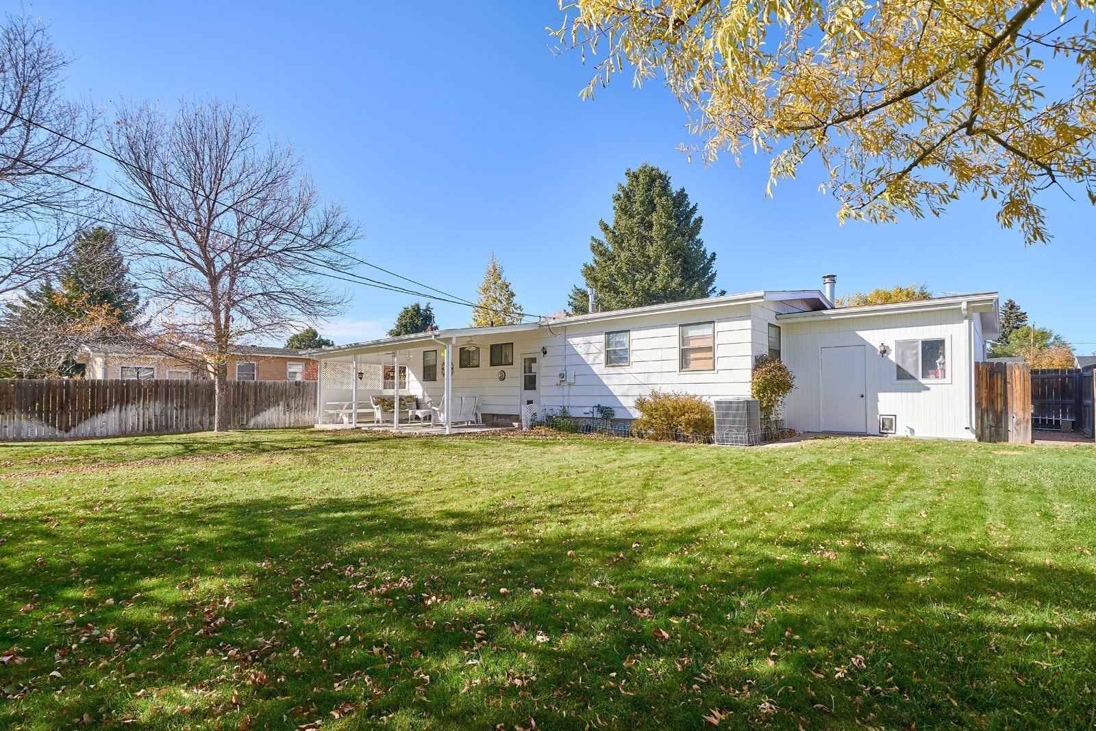 Building Photo - 807 Shoshoni St