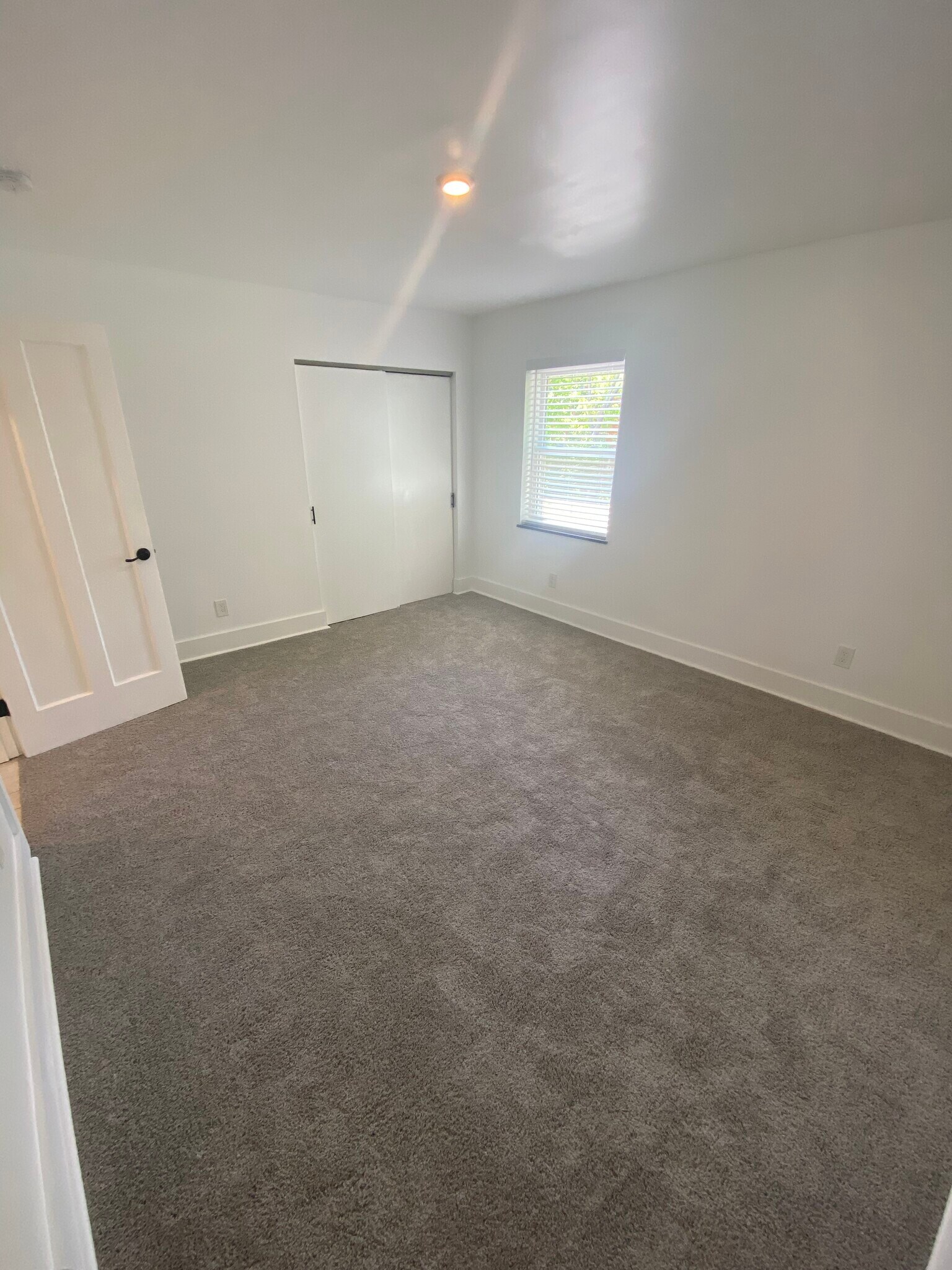 Carpeted bedroom with closet - 3035 Cleinview Ave