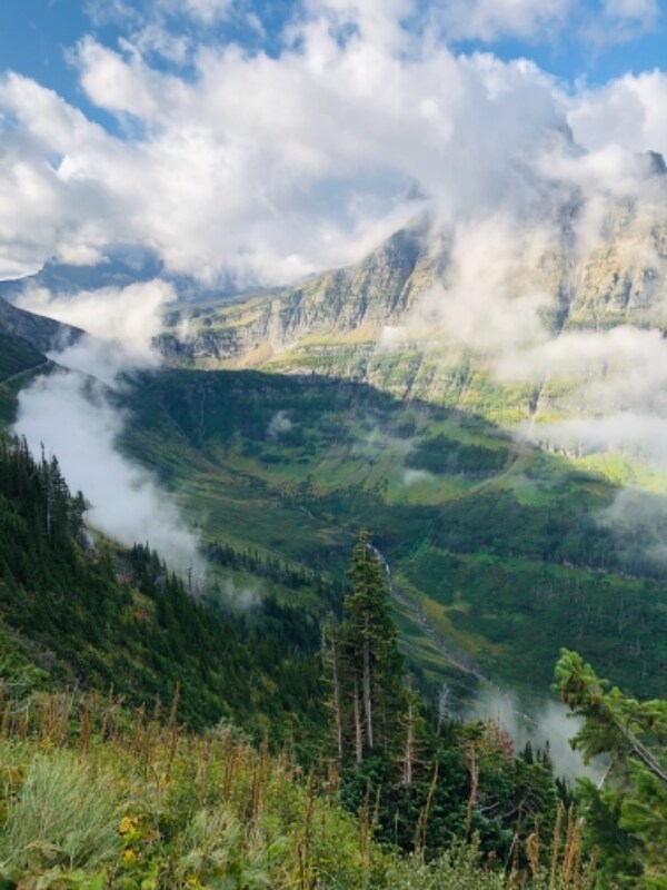 Building Photo - 710 Birch Point Dr