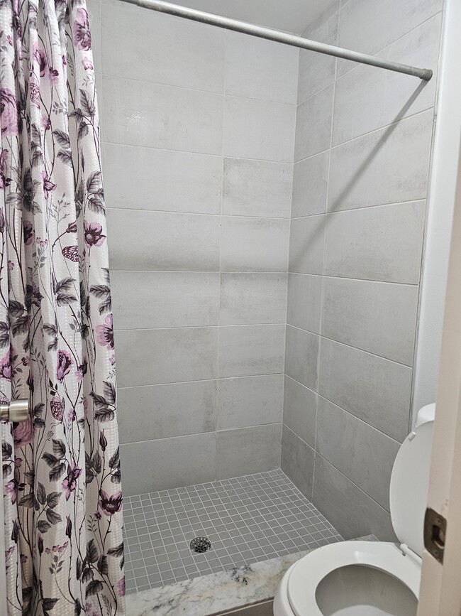 Master shower - 5413 Britan Dr