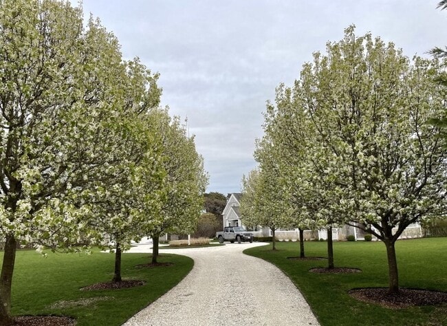 Building Photo - 21 Woodbine St