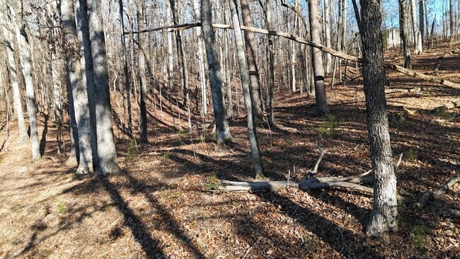 Building Photo - 458 No Pone Rd NW