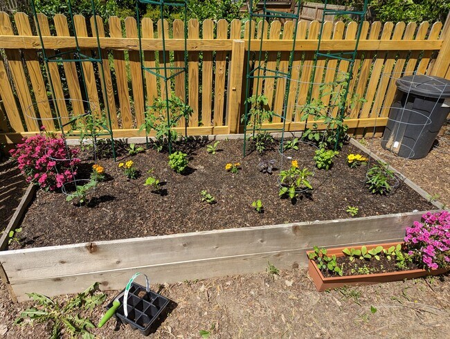 Building Photo - Available Now! Gorgeous 3 bedroom home close to downtown Durham!