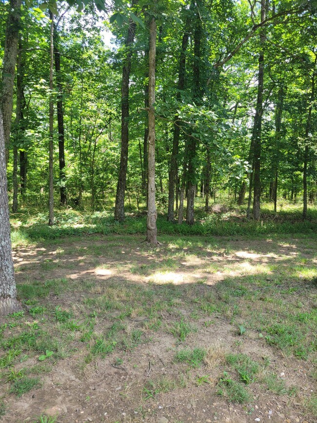 Building Photo - 456 Snead Dr