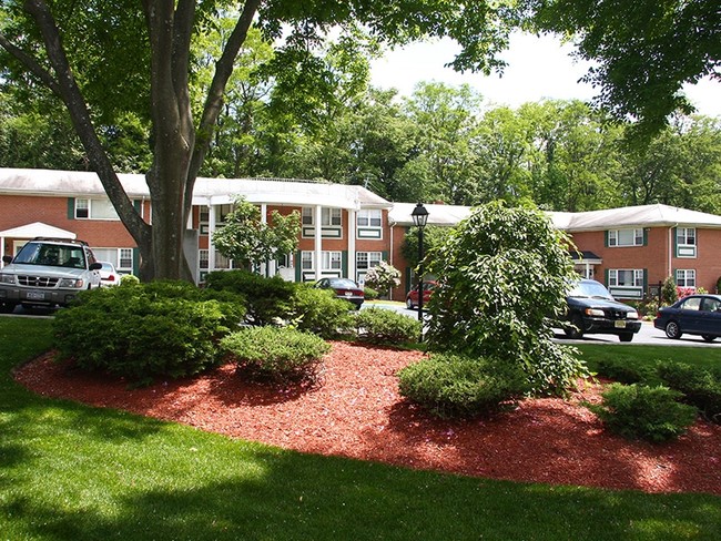 Primary Photo - Mall & Starview Gardens