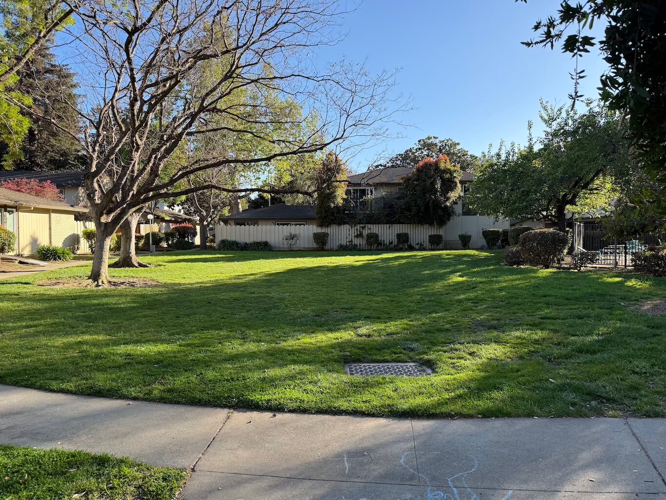 Large lawns in HOA - 88 Flynn Ave