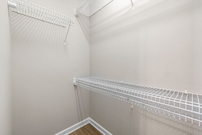 Building Photo - Very quiet and private location in heart of RTP