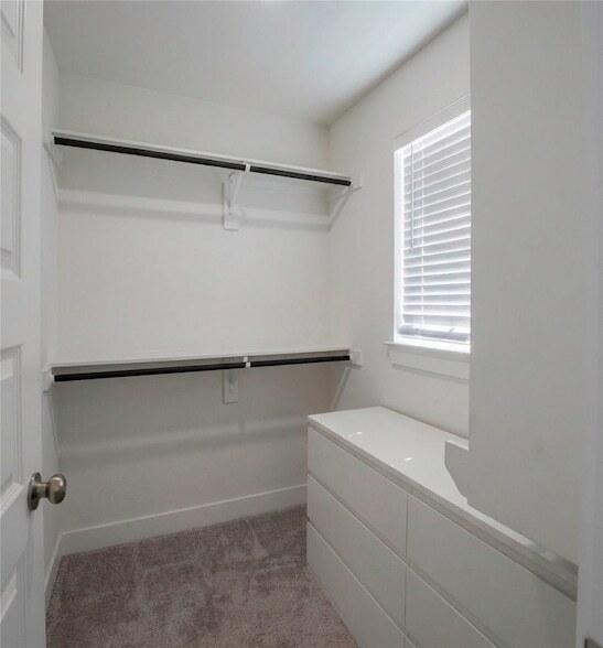 Building Photo - 21802 Blue Daisy Ct