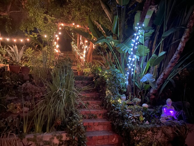 Garden by night - 2528 Panorama Ter