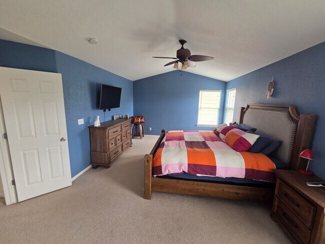 Building Photo - Fantastic Castle Rock 4 Bed 2 1/2 Bath Founders Village Home