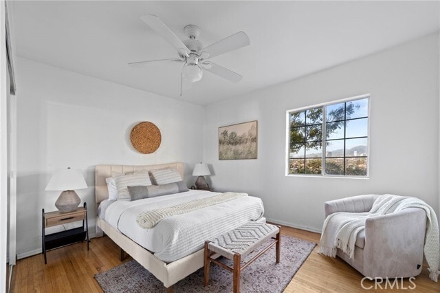 Building Photo - 1119 Princeton Dr