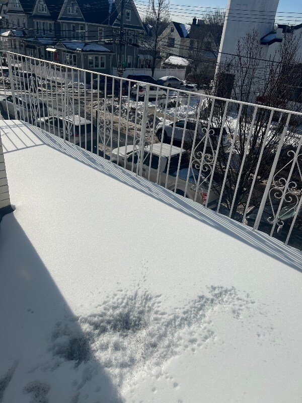 Building Photo - 88-13 104th St